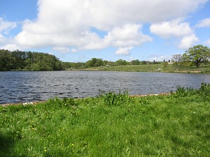 The lake at Felbrigg Hall