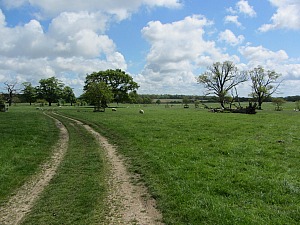 Felbrigg Hall parkland