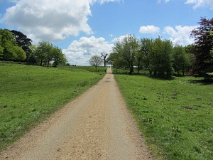 The easy tarmac road through Felbrigg Hall estate