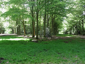 Felbrigg Hall Walk