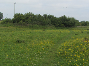 North Pickenham when the field isn't flooded
