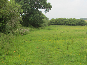 North Pickenham field with bridge