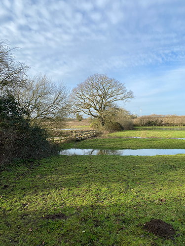 North Pickenham walk flood