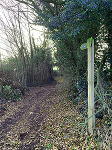 Turn left along this track