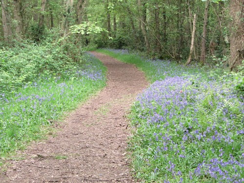 Family friendly walks in Norfolk