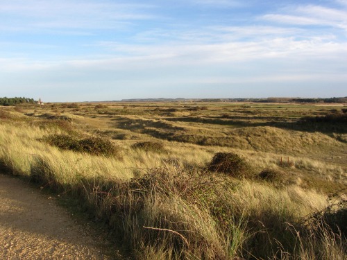 Looking inland from Holme Dunes