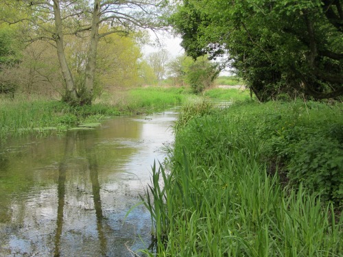 River Nar at Castle Acre Priory