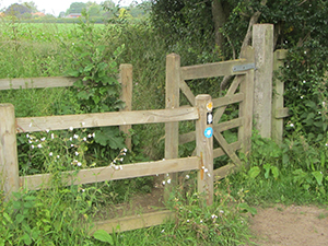North Pickenham gate at far end of meadow