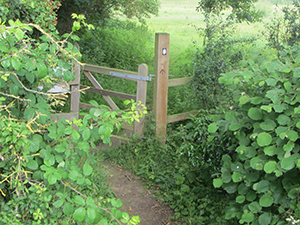 North Pickenham gate into the meadow