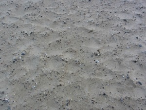 Sand texture on Gorleston beach