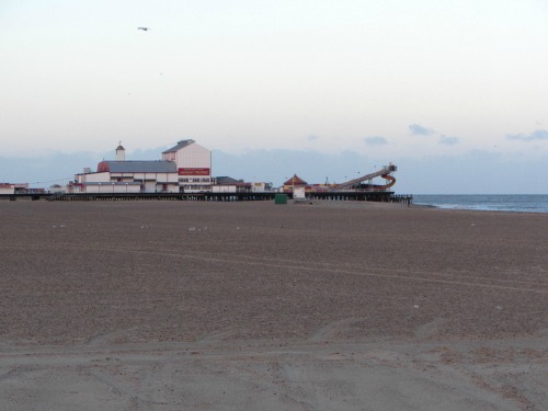 are dogs allowed at great yarmouth pleasure beach