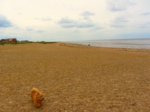 Heacham beach