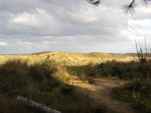 Holkham beach and sand dunes