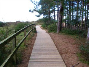 The board walk towards the beach