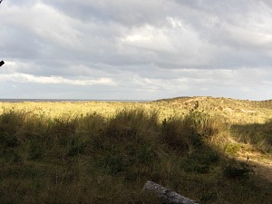 Holkham, Area of Outstanding Natural Beauty