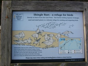 Holme Dunes information boards Holme Dunes information boards