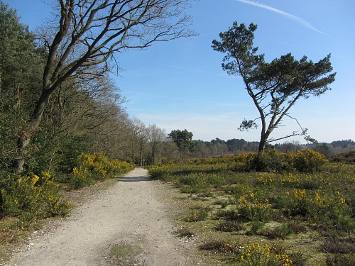 Holt Country Park