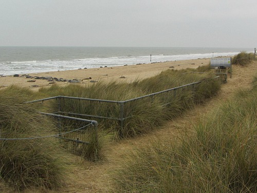 The viewing platform at Horsey Gap