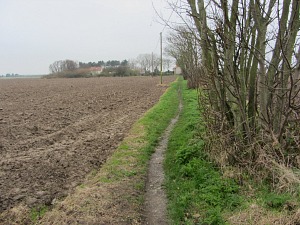 Walking towards Horsey Corner Walking towards Horsey Corner
