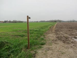 Farmland walking on the Horsey windpump walk Farmland walking on the Horsey windpump walk