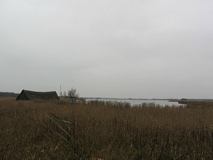 The mere at Horsey The mere at Horsey