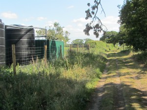 Turn left here! Turn left here!