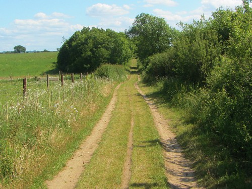 A stretch of the Peddars Way on the Houghton circular walk A stretch of the Peddars Way on the Houghton circular walk