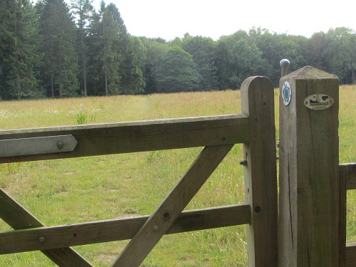 The gate taking you over to the woods The gate taking you over to the woods