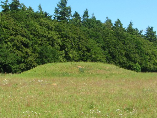 One of the tumuli that you'll see on this walk One of the tumuli that you'll see on this walk