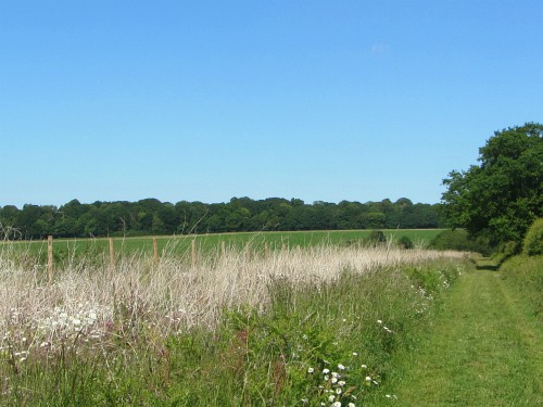 Lovely open countryside on the Houghton circular walk Lovely open countryside on the Houghton circular walk