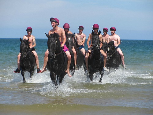 The Household Cavalry Exercising Their Horses on Holkham Beach