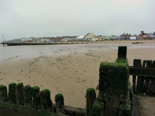 can you take dogs on old hunstanton beach