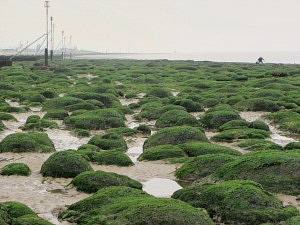 Unusual bolders at low tide