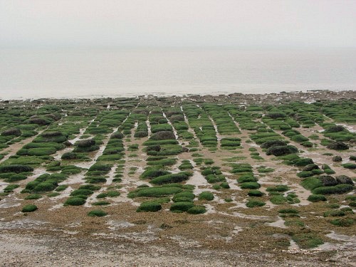 Symmetrical stones at Hunstanton Beach