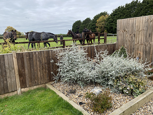 The view of the paddock from the garden at Jimmy's Shed The view of the paddock from the garden at Jimmy's Shed