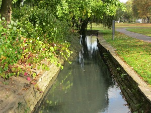 Pretty river running through The Walks Pretty river running through The Walks