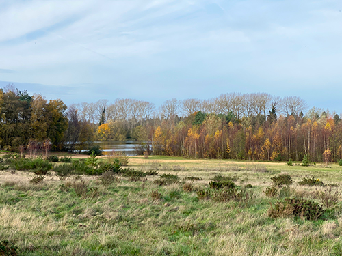 Enjoy the delights of Norfolk on the Rebellion Way Enjoy the delights of Norfolk on the Rebellion Way