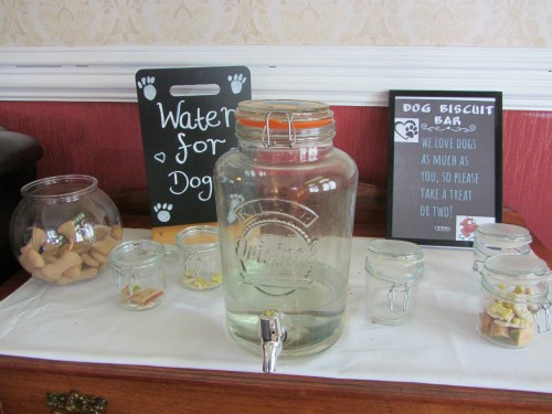 Dog friendly treats Dog friendly treats