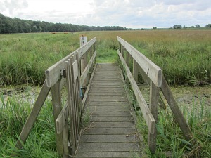 Strumpshaw Fen Meadow Walk Strumpshaw Fen Meadow Walk