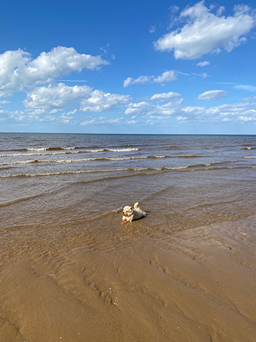 Best Norfolk beaches