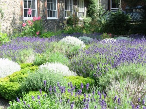 Herb garden at Norwich Cathedral