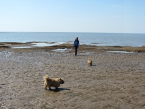 Dog Friendly Hunstanton Norfolk