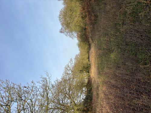 North Elmham circular walk North Elmham circular walk