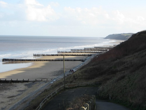 Is Overstrand Beach Dog Friendly Is Overstrand Beach Dog Friendly