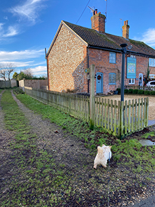 Turn left at Duckling Cottage