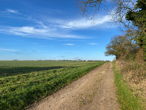 The Peddars Way on the Gt Massingham circular walk