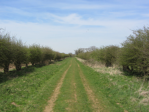 Peddars Way 3 day walk