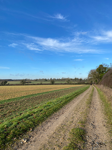 Gt Massingham Peddars Way track