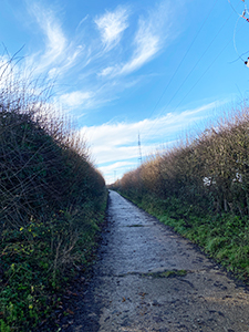 Gt Massingham track towards phone masts