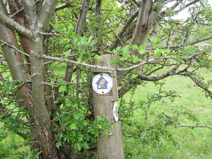 Pingo Trail sign Pingo Trail sign